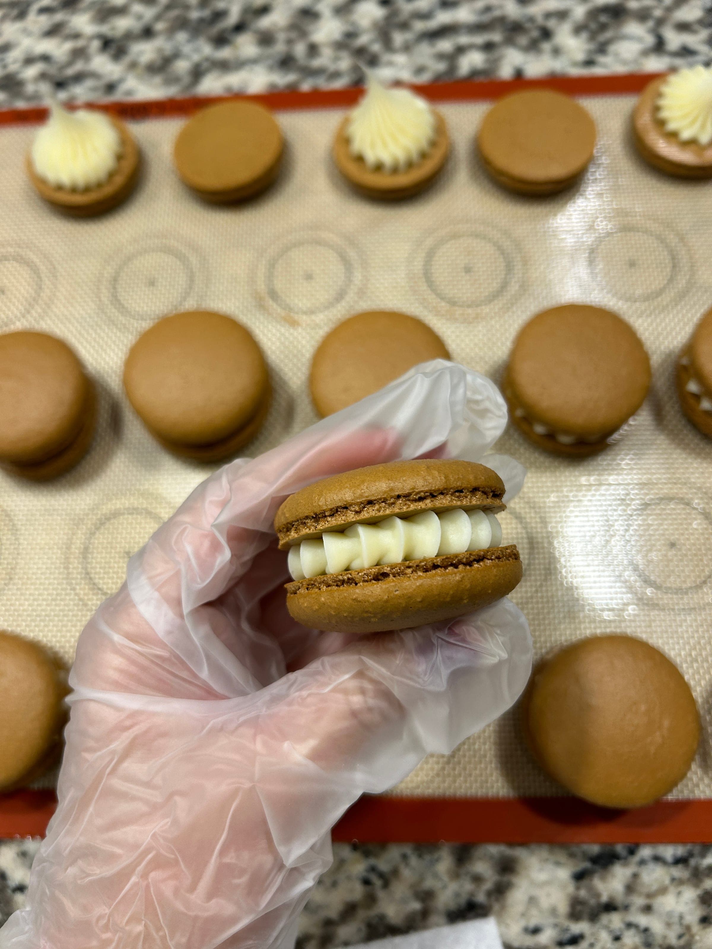 Cross-section of a macaron — shell, foot and filling